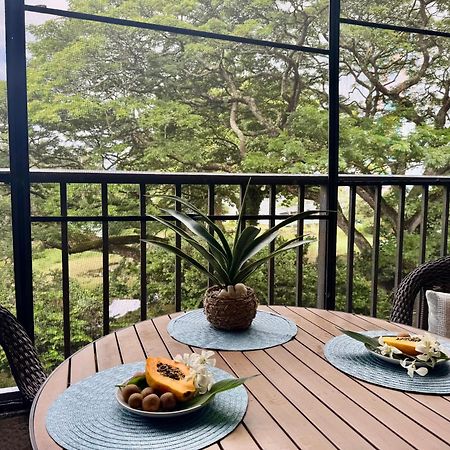 Ocean View Mauna Loa Shores Kai Ekahi #201 Next To Carlsmith Beach Park Hilo Hi Exterior photo