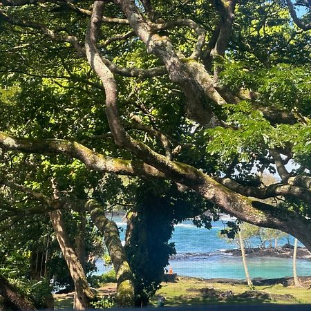 Ocean View Mauna Loa Shores Kai Ekahi #201 Next To Carlsmith Beach Park Hilo Hi Exterior photo