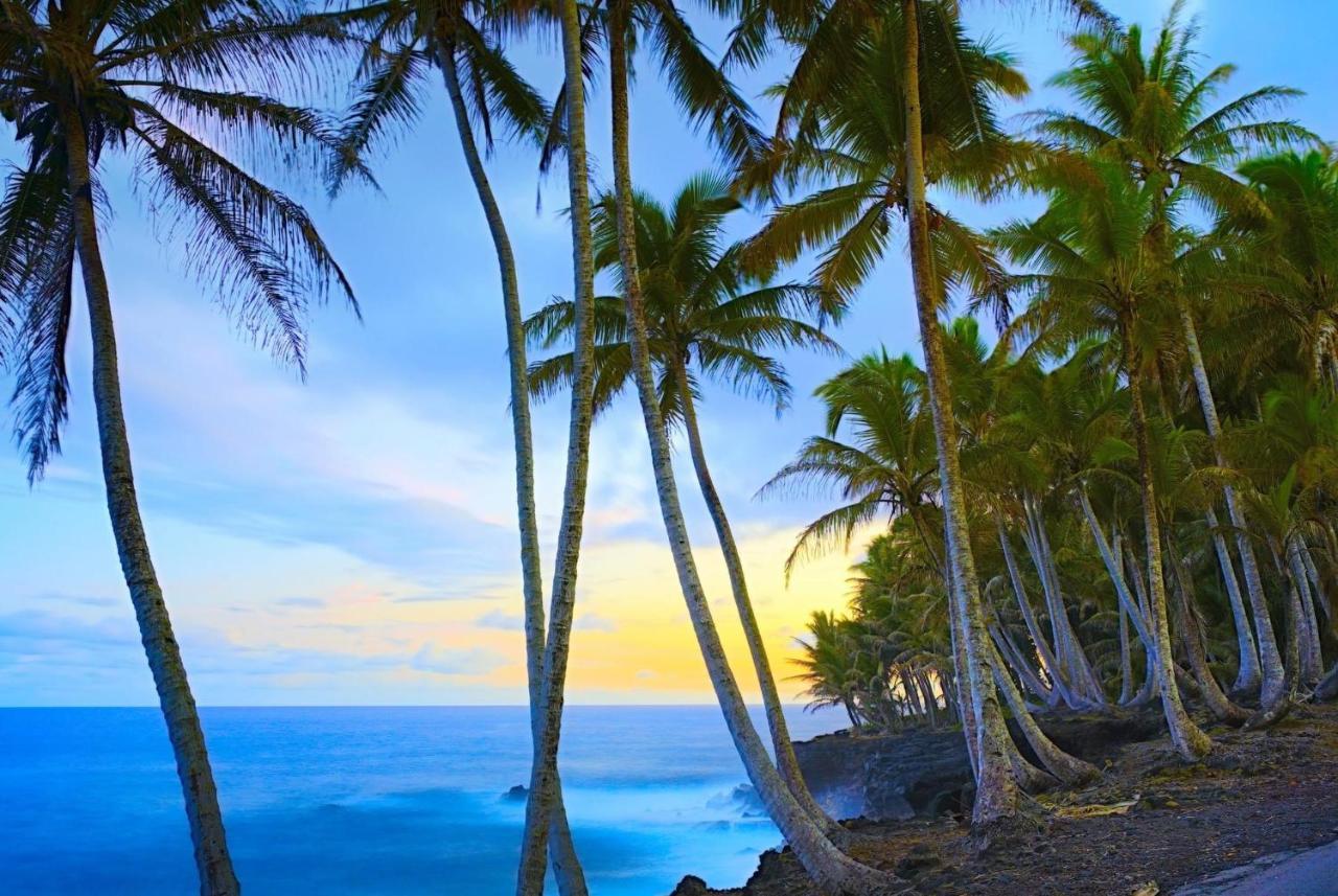 Ocean View Mauna Loa Shores Kai Ekahi #201 Next To Carlsmith Beach Park Hilo Hi Exterior photo