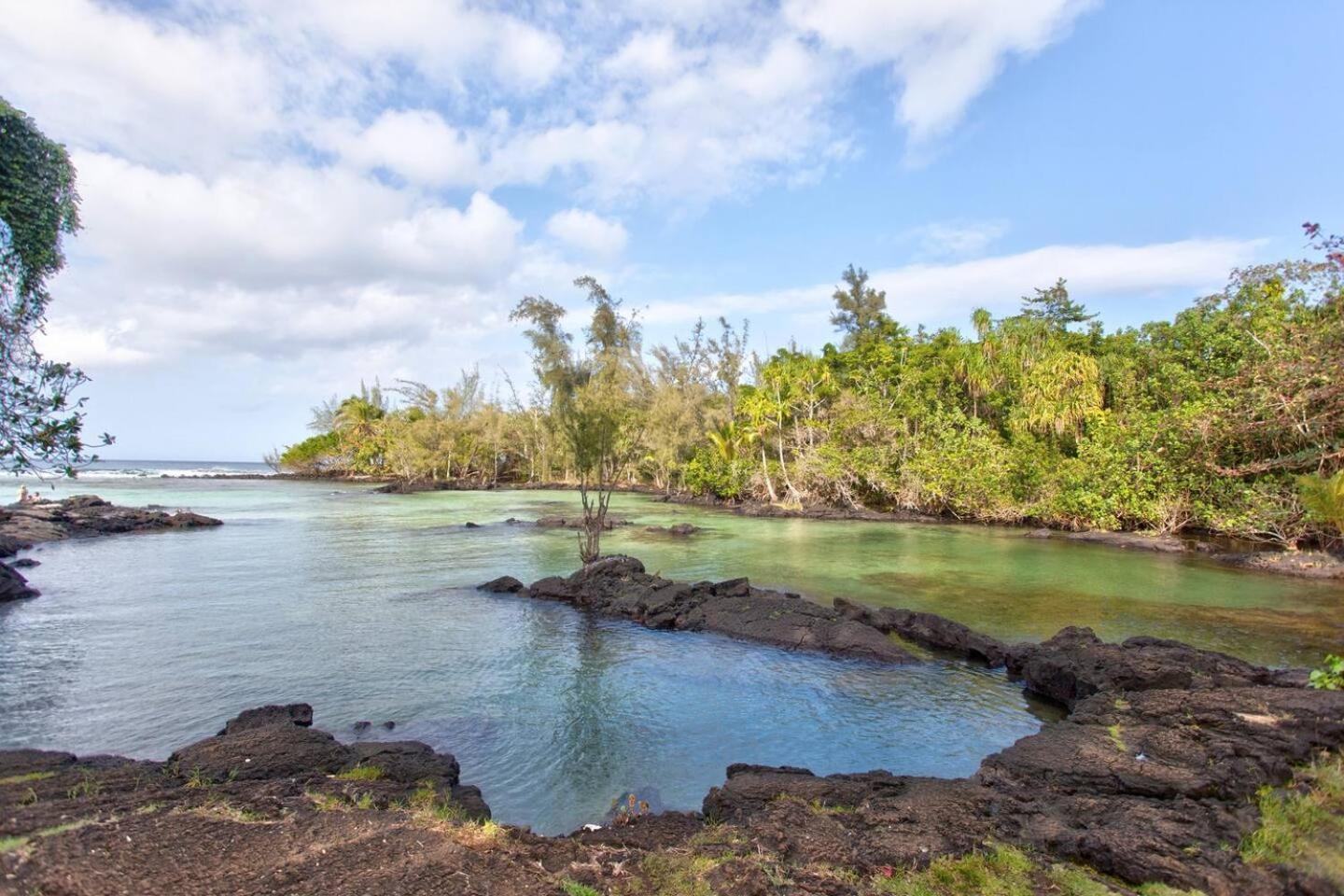 Ocean View Mauna Loa Shores Kai Ekahi #201 Next To Carlsmith Beach Park Hilo Hi Exterior photo