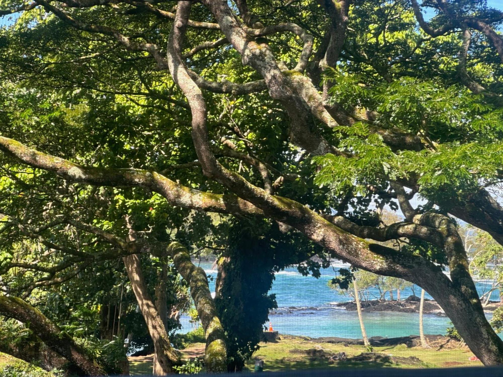 Ocean View Mauna Loa Shores Kai Ekahi #201 Next To Carlsmith Beach Park Hilo Hi Exterior photo